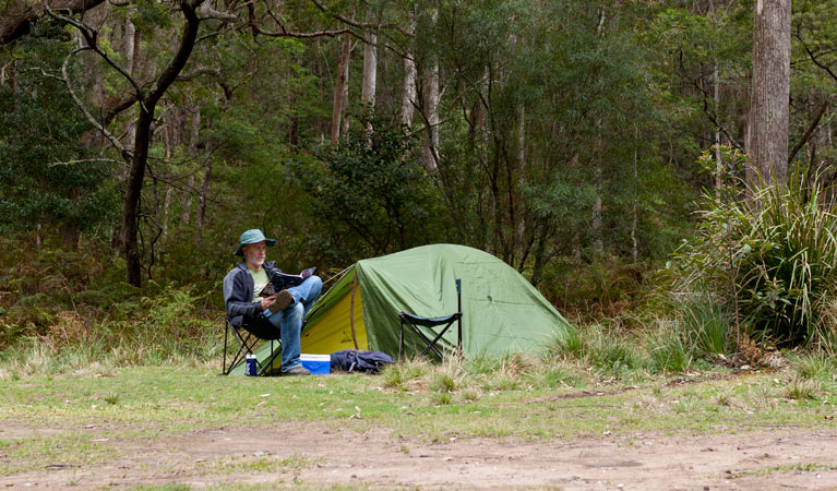 Long Gully campground, Budawang National Park. Photo: Lucas Boyd