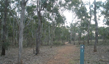 Green Track, Bungonia National Park. Photo &copy; Audrey Kutzner