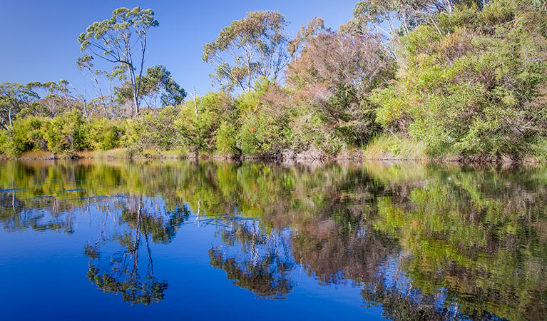 Dharawal National Park. Photo: Nick Cubbin &copy; OEH