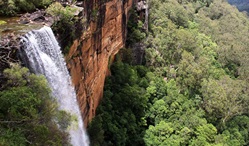 Fitzroy Falls, Morton National Park. Photo: John Yurasek © DPIE