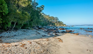 Acheron Ledge walking track, Murramarang National Park. Photo: Michael van Ewijk © OEH