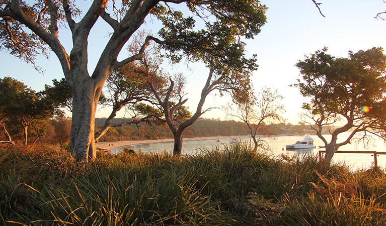 Jibbon Beach at sunset with boats, in Royal National Park. Photo: Natasha Webb/OEH