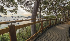 Bradleys Head to Chowder Bay walk, Sydney Harbour National Park. Photo credit: John Spencer © DPIE