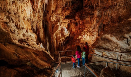 Visitors take in the textured walls of Fig Tree Cave. Credit: Remy Brand/DPE © Remy Brand